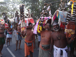 palani-festivals-thaipoosam 